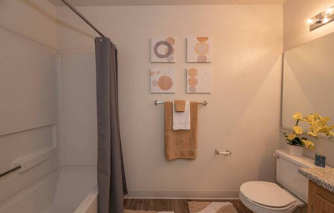 Canterbury Downs model bathroom, Roseville, CA, 95678