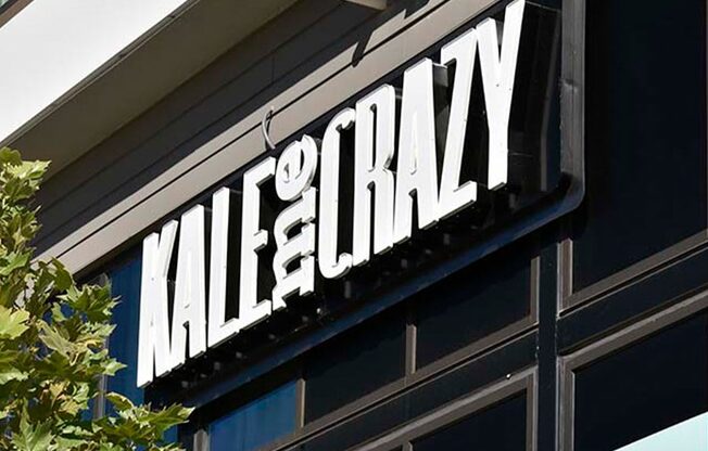 Vinings Lofts and Apartments near Vinings Village - Kale Me Crazy