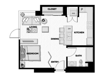 Studio, 1 bath, 559 sqft, $2,722