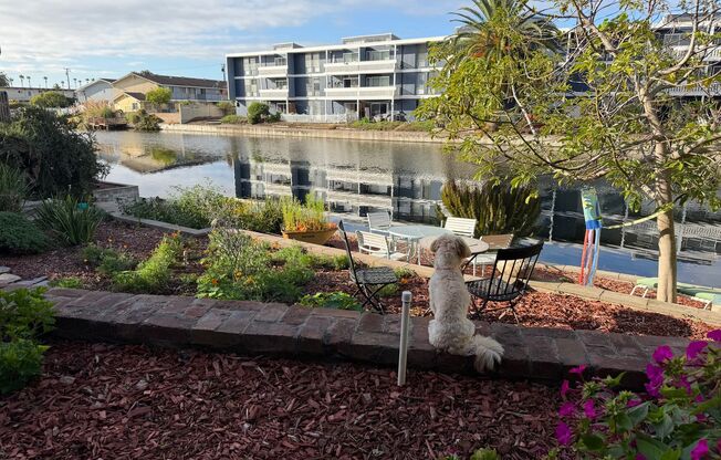 Spacious Apartments in the Desirable Bronze Coast Neighborhood