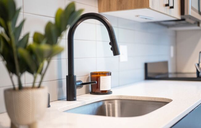 Studio, 1 bath, 350 sqft, $1,500, Unit 212