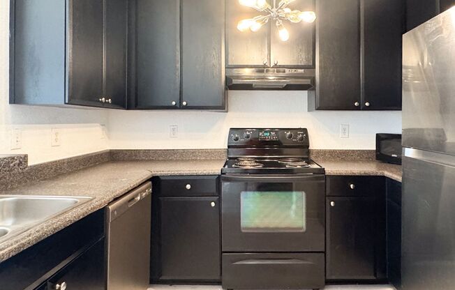 The Grande Downtown - Spacious 1/1 in the heart of Downtown Orlando!