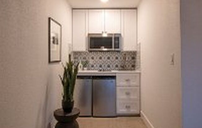 Studio, 1 bath, $1,145, Unit 233
