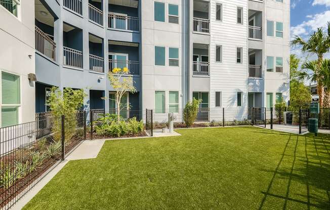 Apartments with a Dog Park at Aurora Luxury Apartments in Downtown Tampa FL