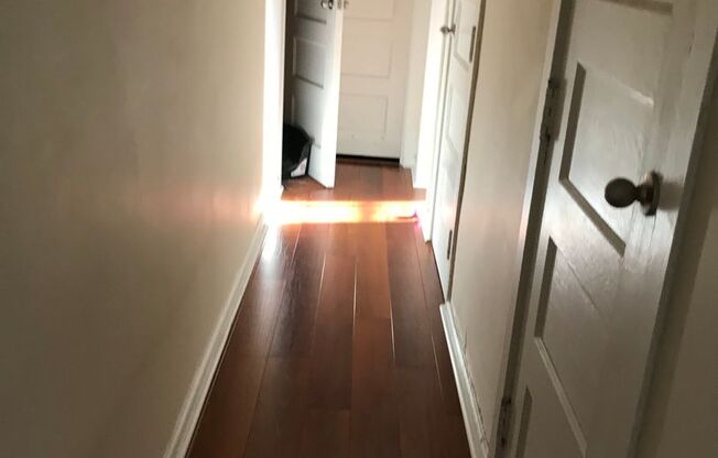 1 bed, 1 bath, 528 sqft, $1,300, Unit 206