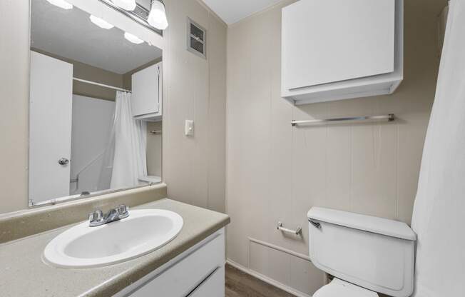 a bathroom with a sink toilet and a mirror at Brookside Apartments, Hewitt, TX