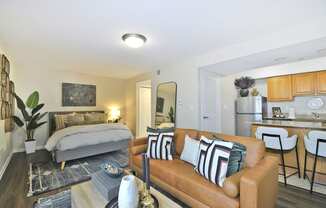 a living room with a couch and a kitchen with a bed