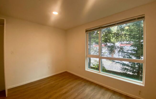 Studio, 1 bath, 189 sqft, $1,325, Unit 4206
