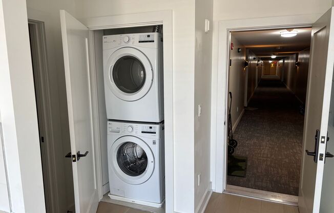 Studio, 1 bath, 496 sqft, $2,275, Unit 202