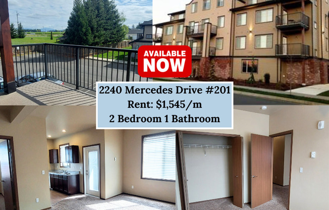 Spacious 2-Bedroom Apartment with Modern Amenities in Lynden!