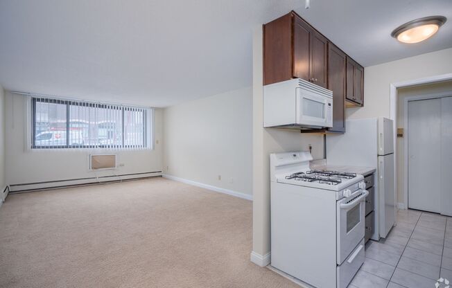 1 bed, 1 bath, 650 sqft, $1,195, Unit 3028311