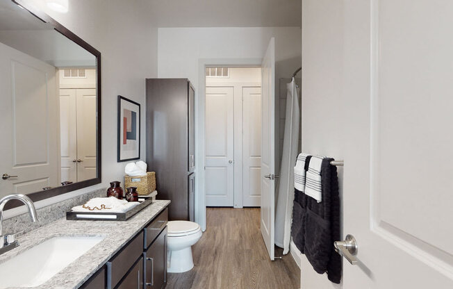 a bathroom with a sink and a toilet