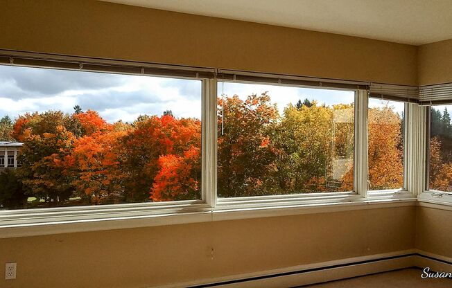 1 bed, 1 bath, 635 sqft, $1,375, Unit 609