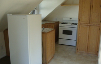 Studio, 1 bath, 200 sqft, $1,100