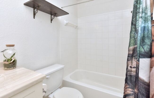 3 Bedroom 2 Bathroom Round Rock Home