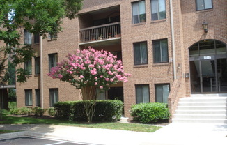 Large 2BR/1BA condo in gated community. Walking distance to Metro.