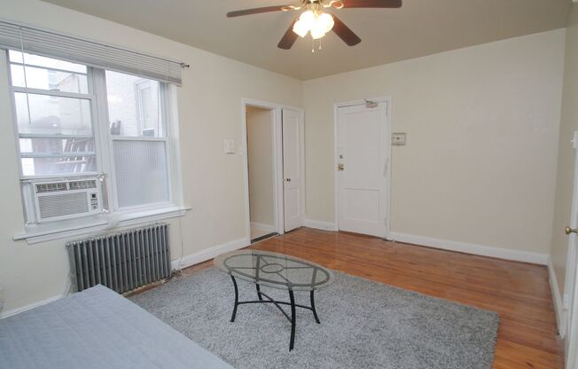 Studio, 1 bath, $1,195, Unit #A3