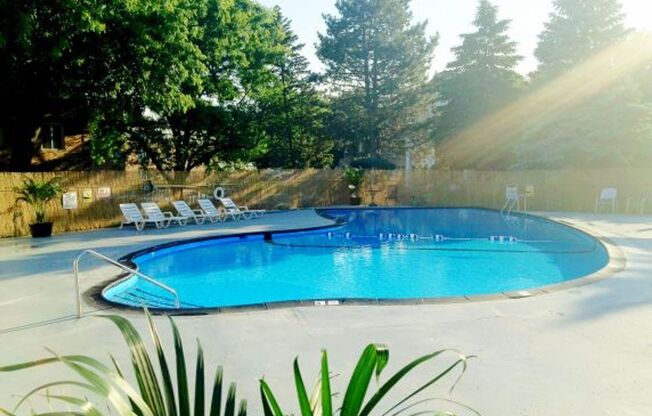 1 bed, 1 bath, 701 sqft, $1,239, Unit 2-301
