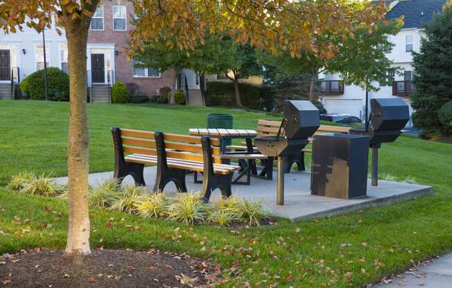 a picnic table in a park next to a tree
