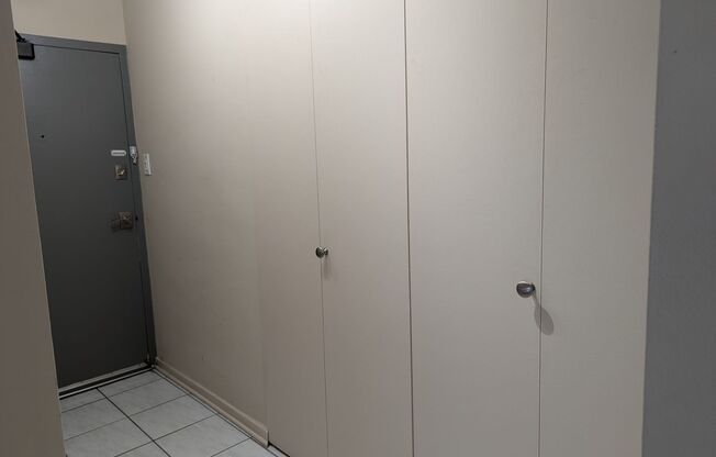 Incredible 1b1b in downtown Streeterville prime location