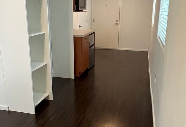 Studio, 1 bath, 176 sqft, $1,495, Unit 1300