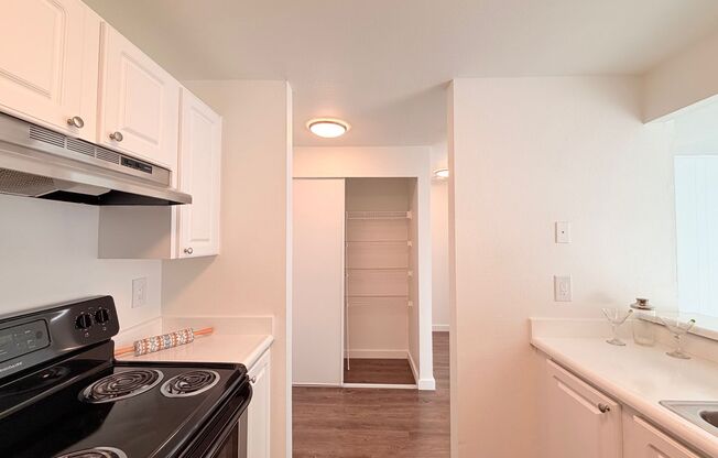 1 bed, 1 bath, 700 sqft, $1,750, Unit 234