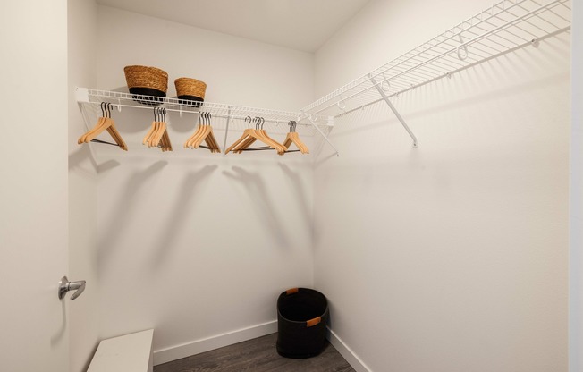 Expansive closets with shelving