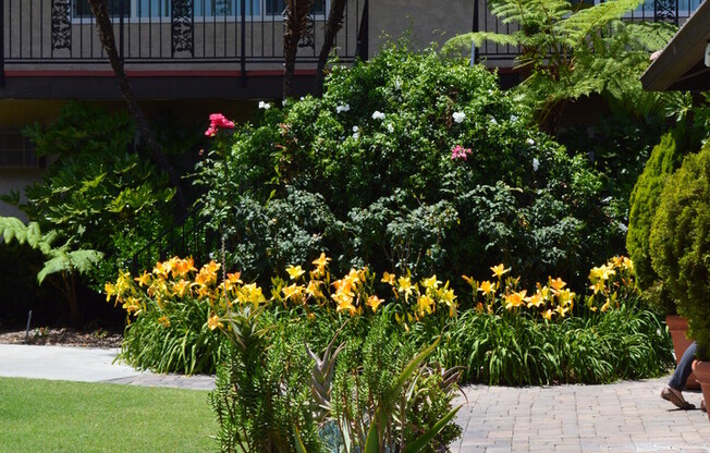 1 bed, 1 bath, 738 sqft, $2,128, Unit C6