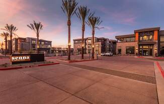 Senna at Canyon Trails