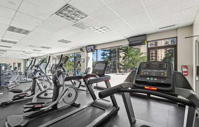 A gym with treadmills and elliptical machines.