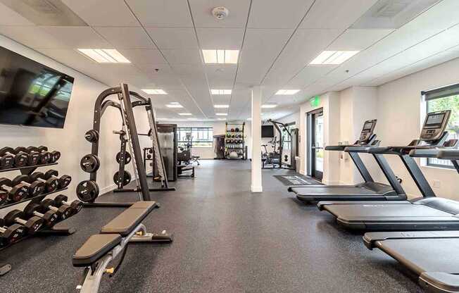 A spacious gym with treadmills, dumbbells, and weight machines.