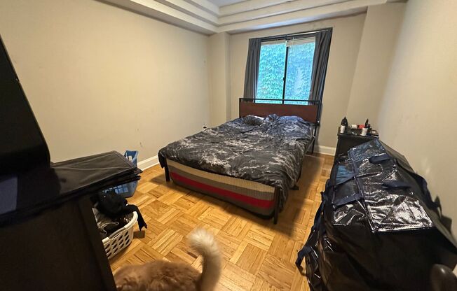 1 bed, 1 bath, $1,095, Unit 104