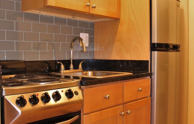 Studio, 1 bath, $2,000, Unit 102