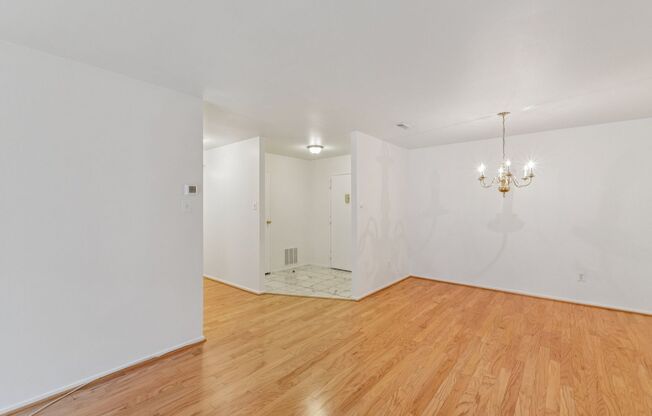 SPACIOUS Bright UNIT.