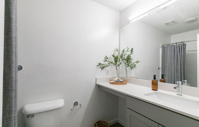 Bathroom at Elme Marietta Apartments, Marietta, Georgia