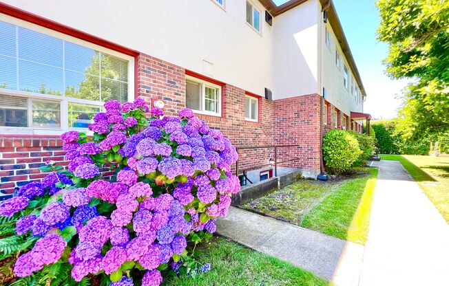 1 bed, 1 bath, 630 sqft, $1,425, Unit 4111 - 3