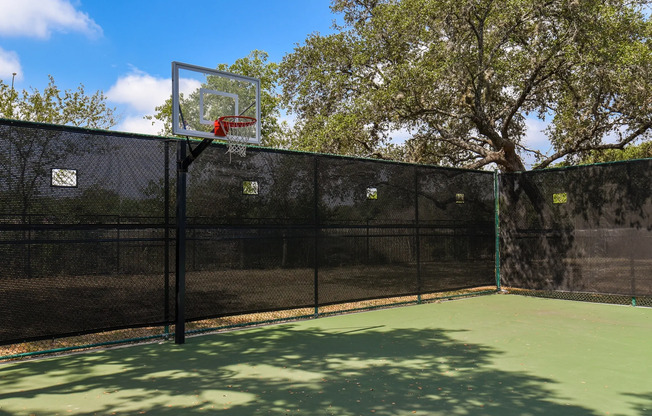 Basketball Area