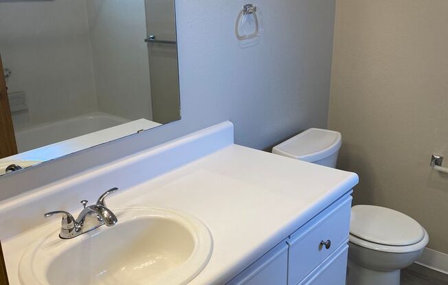 Studio, 1 bath, 462 sqft, $1,297, Unit 329