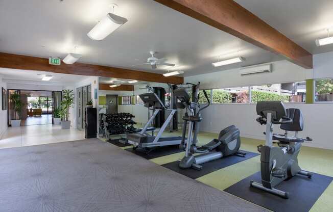 Apartments Palo Alto CA - Expansive Fitness Center Featuring Various Gym Equipment