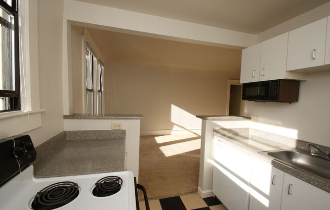 Studio, 1 bath, 405 sqft, $1,195, Unit 315