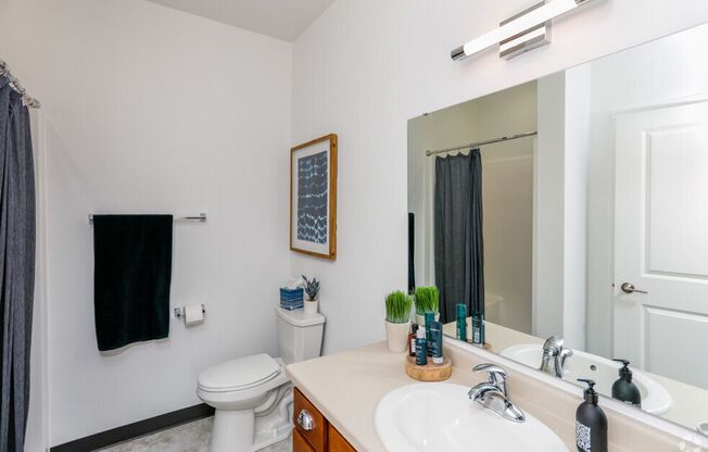 2 beds, 2 baths, 1,013 sqft, $1,600, Unit A515