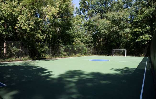 Sports Court at Grove Point, Georgia