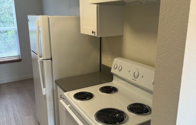 Updated 1 Bedroom Apartment - New Cabinets, Counter tops & Flooring! $99 Deposit Move in Special