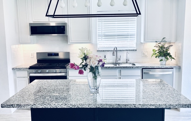 3739 BRIGHTON SPG LN