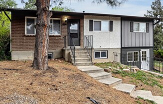 806 PARADISE LN