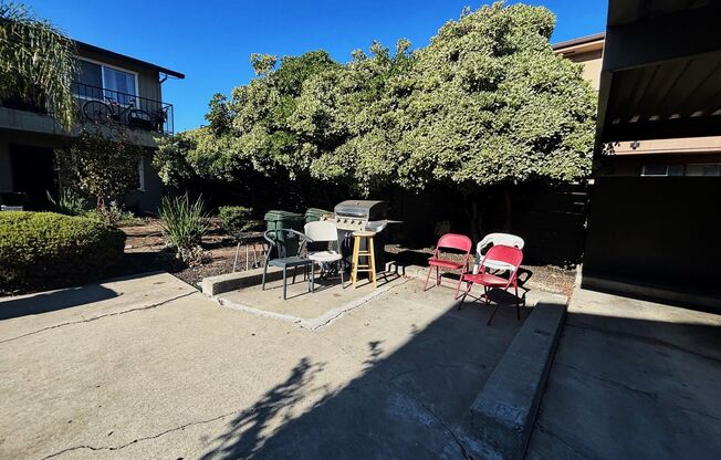 313 Lawton St