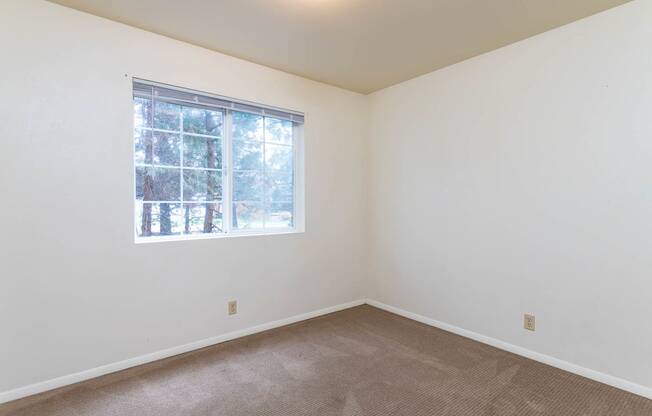 Light filled bedroom