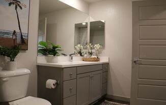 a bathroom with a toilet and a sink and a mirror