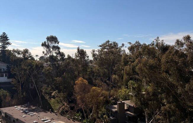 1 bed, 1 bath, 582 sqft, $3,469, Unit 802