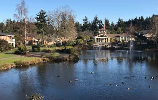 A pond with ducks swimming in front of a house with a flag on top.